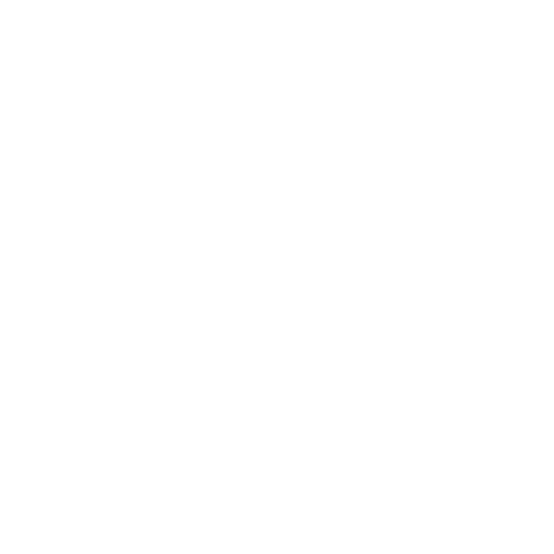 Oplossingsgericht